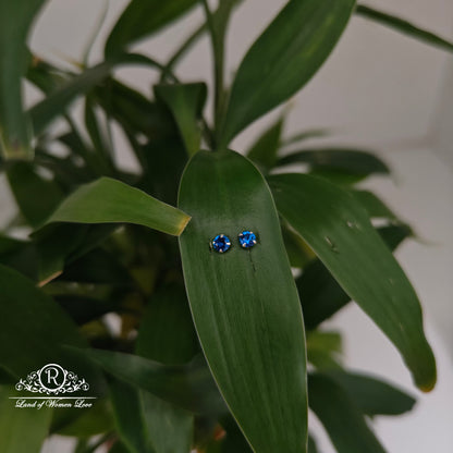 earrings 92.5 silver simple and cute earrings - rchs48-01 92.5 silver ramala jewelry / ramala collections