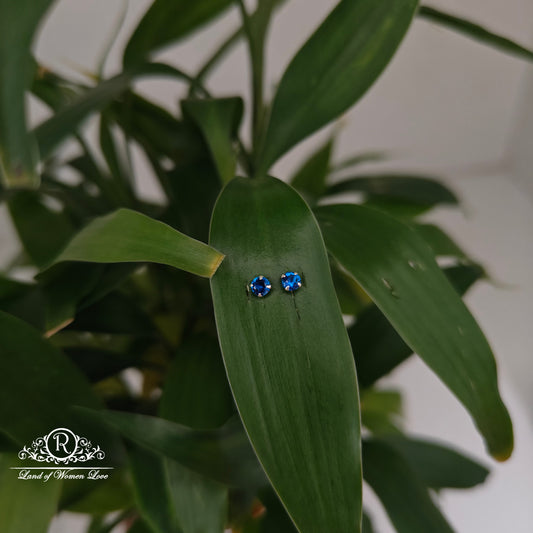 earrings 92.5 silver simple and cute earrings - rchs48-01 92.5 silver ramala jewelry / ramala collections