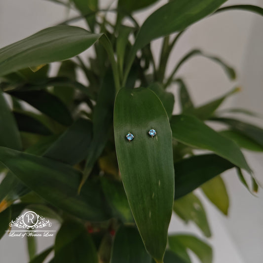 earrings 92.5 silver simple and cute earrings - rchs46-01 92.5 silver ramala jewelry / ramala collections