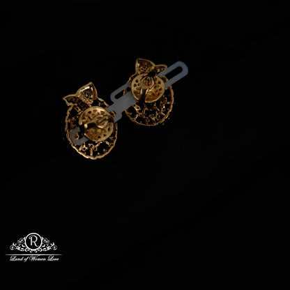 Silver CZ- stone earrings -RCDS420
