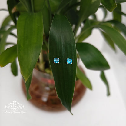 stud 92.5 silver blue coloured studs-rchs34 92.5 silver ramala jewelry / ramala collections