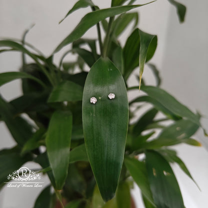 earrings 92.5 silver simple and cute earrings - rchs42-03 92.5 silver ramala jewelry / ramala collections