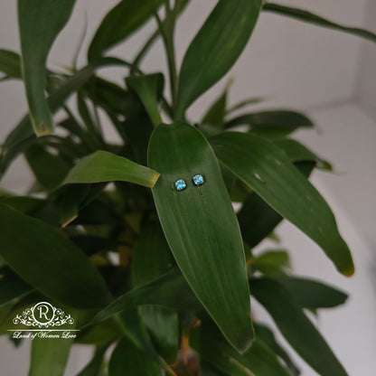 earrings 92.5 silver simple and cute earrings - rchs47-01 92.5 silver ramala jewelry / ramala collections