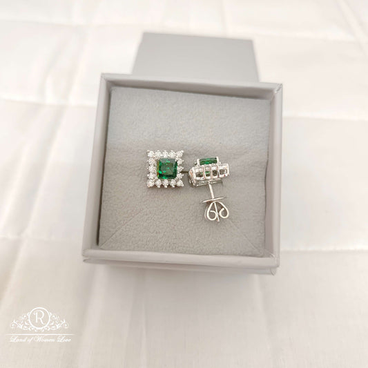 Silver CZ- Stones Earrings-RCES49