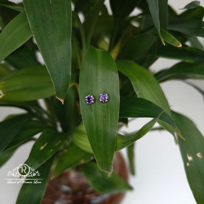 earrings 92.5 silver simple and cute earrings - rchs49-05 92.5 silver ramala jewelry / ramala collections