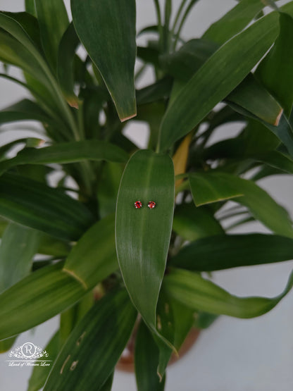 earrings 92.5 silver simple and cute earrings - rchs46-03 92.5 silver ramala jewelry / ramala collections