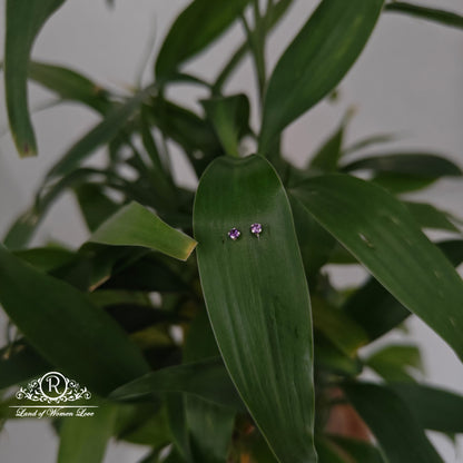 earrings 92.5 silver simple and cute earrings - rchs46-02 92.5 silver ramala jewelry / ramala collections