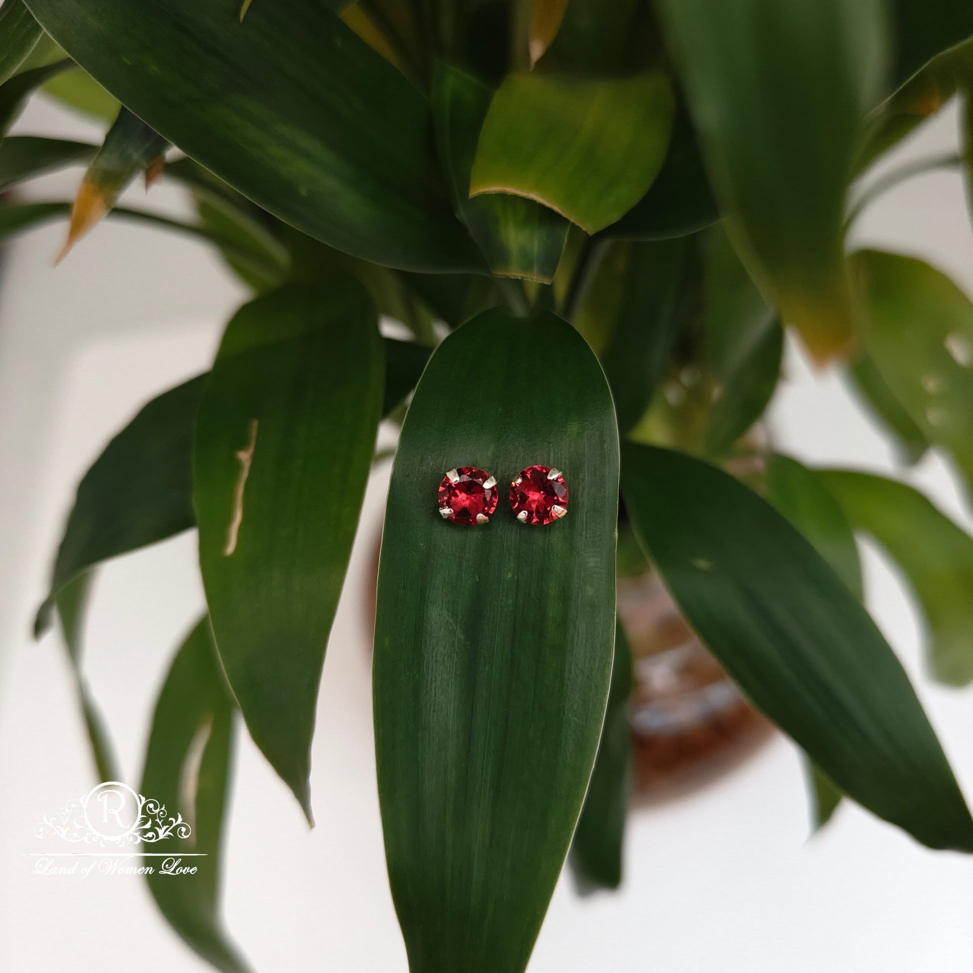 earrings 92.5 silver simple and cute earrings - rchs50-03 92.5 silver ramala jewelry / ramala collections