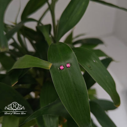 earrings 92.5 silver simple and cute earrings - rchs47-03 92.5 silver ramala jewelry / ramala collections