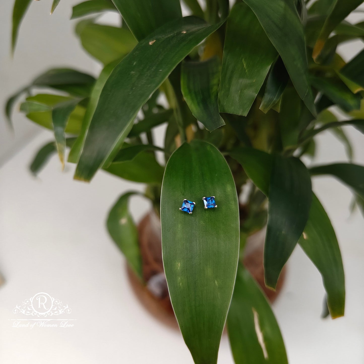 earrings 92.5 silver simple and cute earrings -rchs45 92.5 silver ramala jewelry / ramala collections