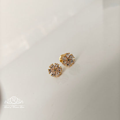 92.5 Silver Changble Model  Earrings-RCJR1112