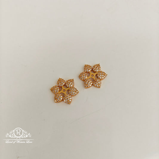 92.5 Silver Changble Model  Earrings-RCJR1111-1