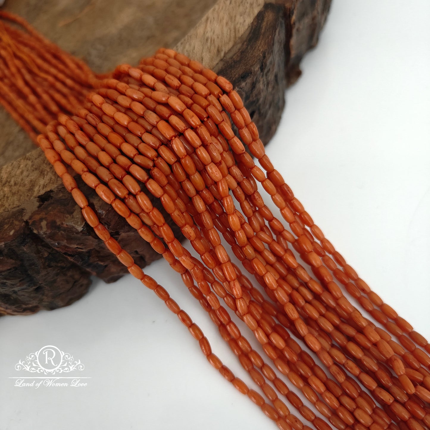 CORALS-RCJM067