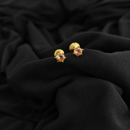 92.5-silver-with-gold-polish-earrings-RCH1347