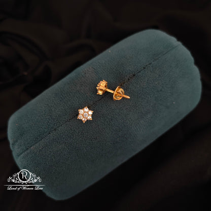 92.5 SILVER EARRINGS -RCH1161