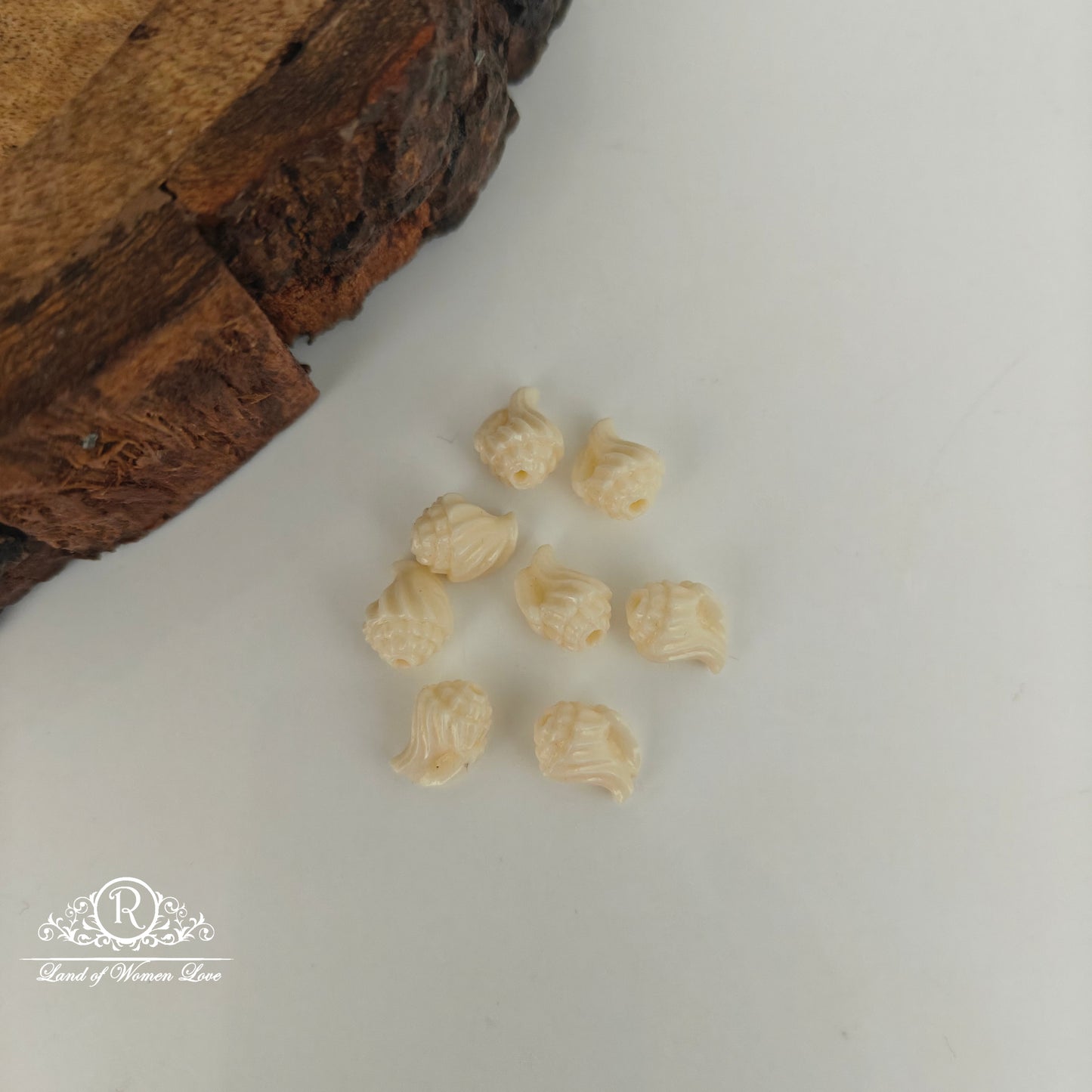 CORAL SHELL BEADS-RCJM286