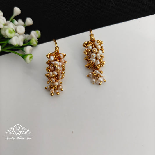 92.5 Silver Hook Model earrings-RCCP503