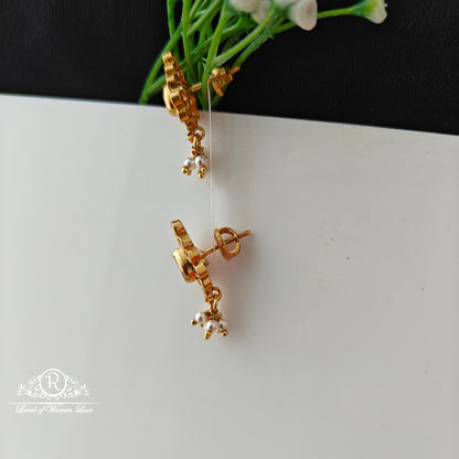 92.5 Silver Mango desgin Earrings-RCCP521