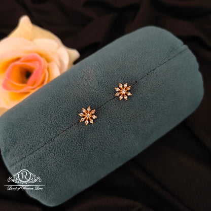 92.5 Silver Small earrings-RCJR1104