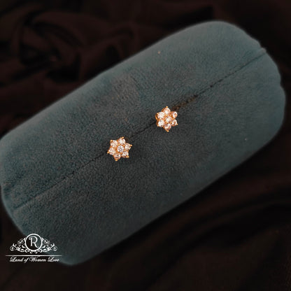 92.5 SILVER EARRINGS -RCH1161