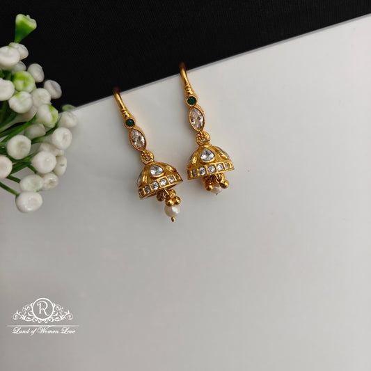 92.5 Silver Hook Model earrings-RCCP494