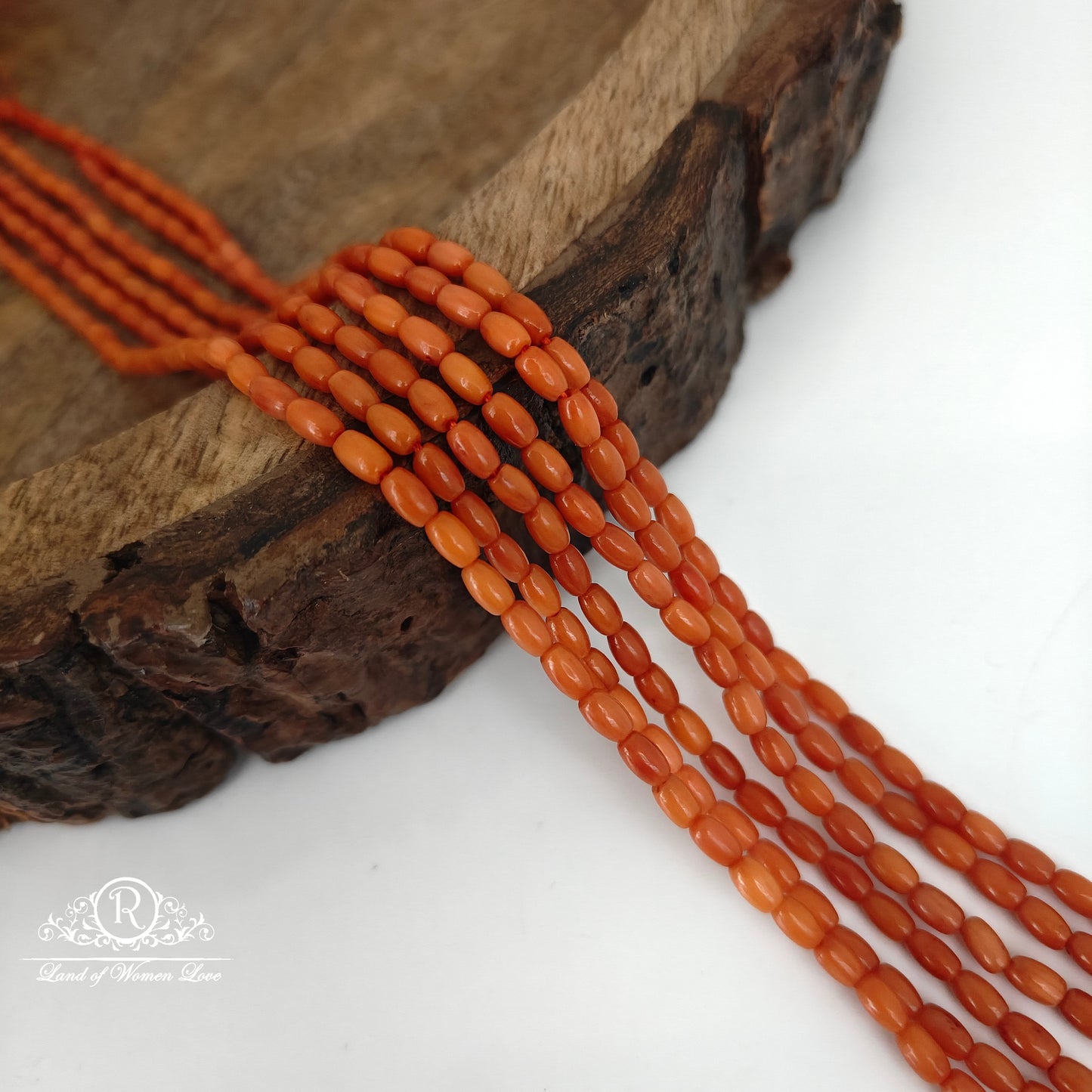 CORALS-RCJM065