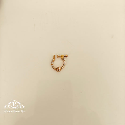 92.5 SILVER NOSE PIN-RCP202